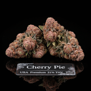Cherry Pie USA Premium - 21% THV N10