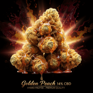 Golden Peach - Hydro Fruitée 14% CBD