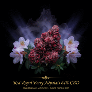 Red Royal Berry - Népalais 64% CBD