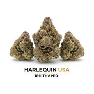 Harlequin USA - 18% THV N10