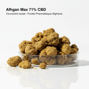 Afghan Max - Ultra Gras 71% CBD