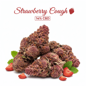 Strawberry Cough - Hydro Fruitée 14% CBD